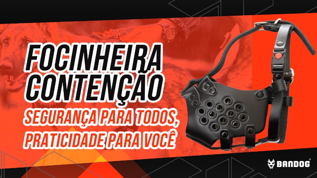 Focinheira - o melhor modelo e o melhor jeito de usar para segurança e conforto do seu cachorro.