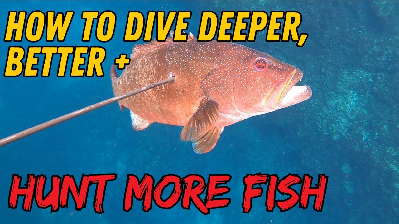 How To Dive Better for Spearfishing