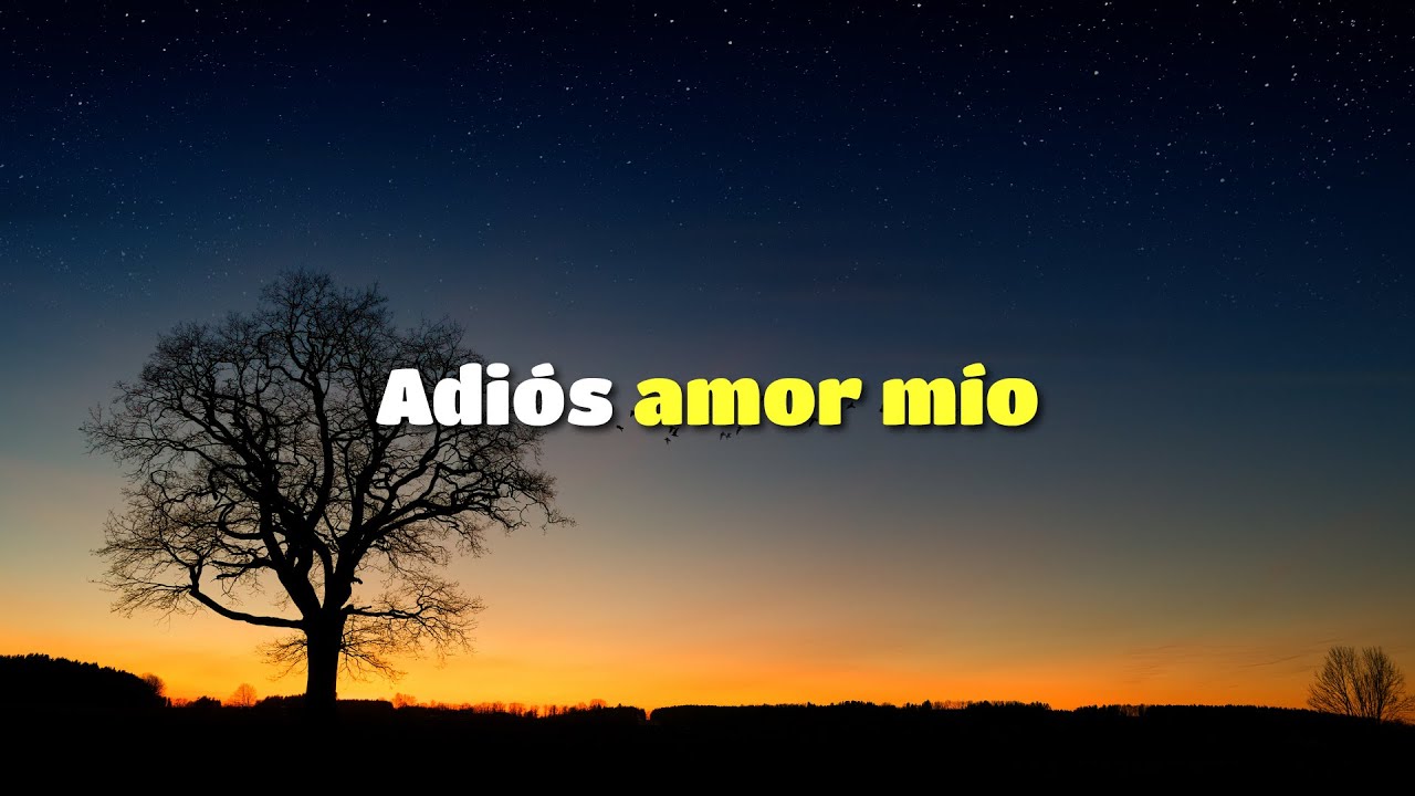Adiós amor mío | Fuiste lo mejor de mi vida | Christian B. Vargas