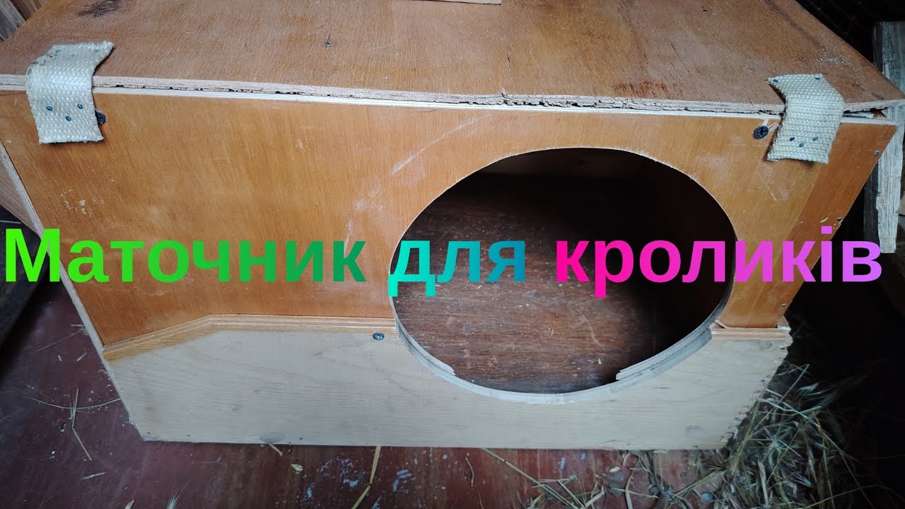 Секрет успішного окролу: супер-маточник, який зможе зробити кожен! 🐰✨