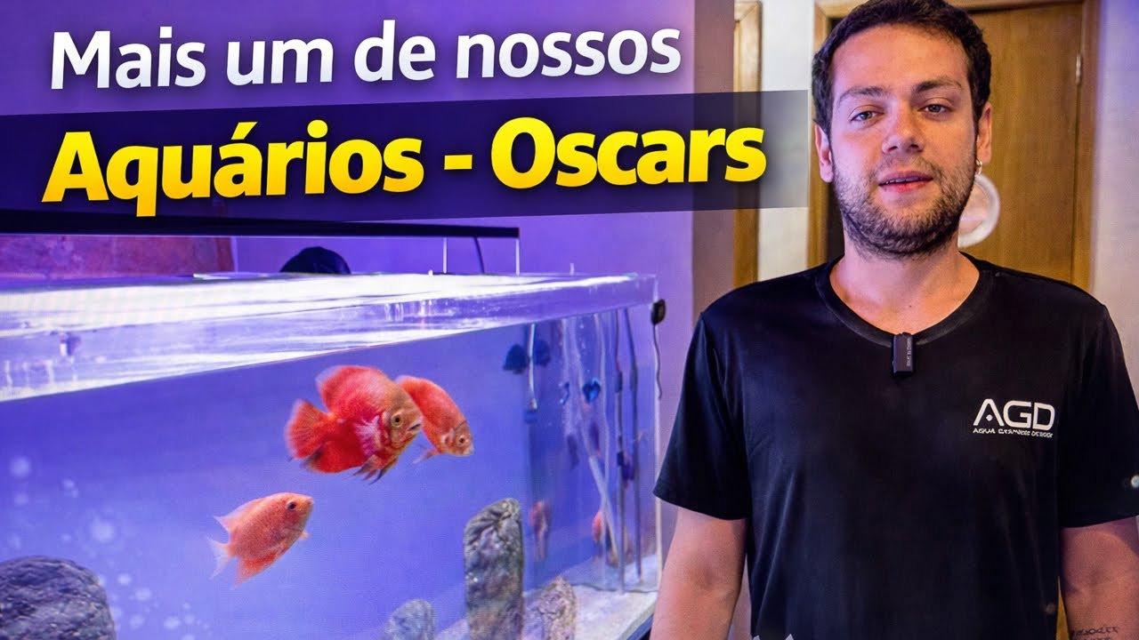 Aquario de Oscar - Um Aquário super especial