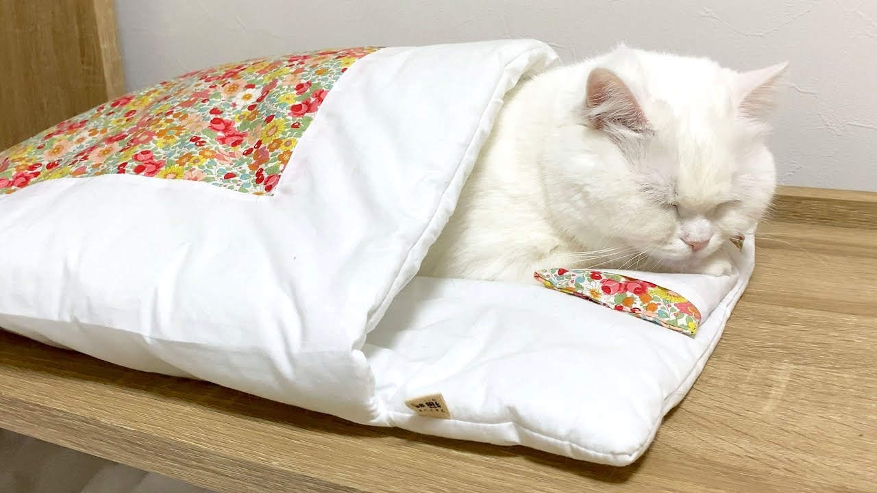 うちのおまんじゅうは布団で丸くなります