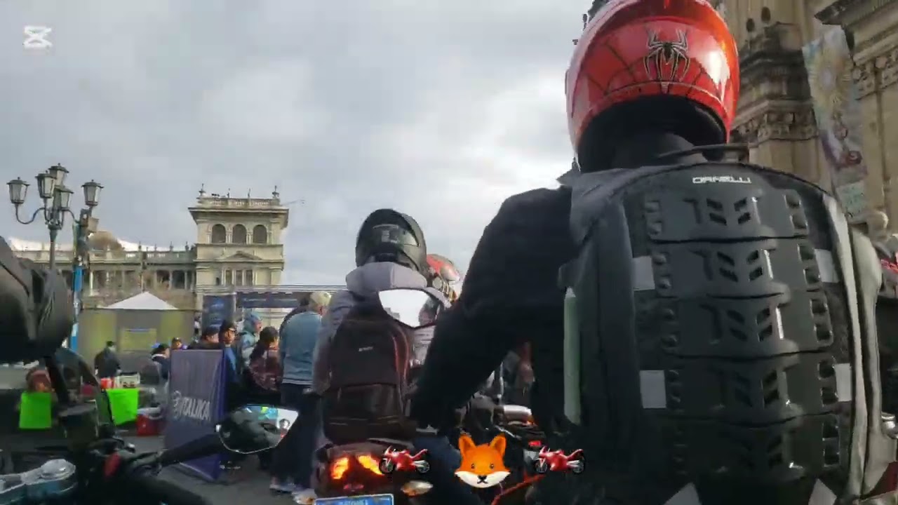 Caravana del Zorro 🦊  65 
