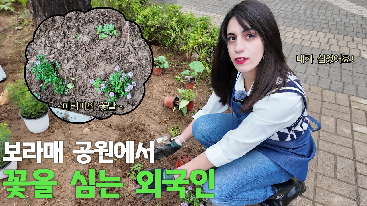 “한국에 와서 직접 나무를 심은 외국인, 전 세계가 감동한 이유”