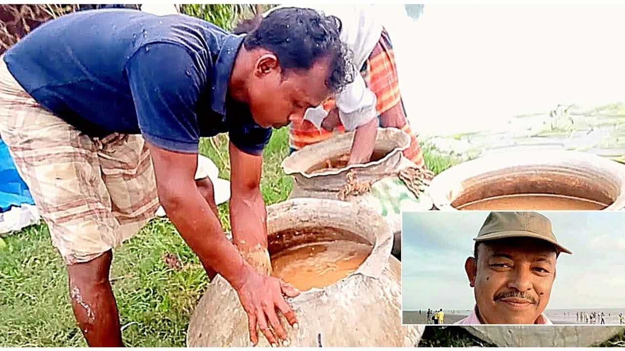 FERMENTED FEED# ZOOPLANKTON HIT!!!  ফার্মেন্টেড ফিড। জুওপ্লান্কটন হিট!!! Abeed Lateef