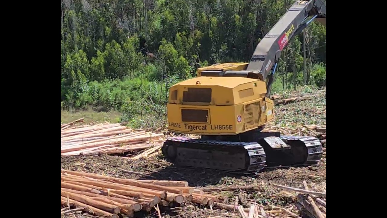 Harvester Tigercat LH855E 