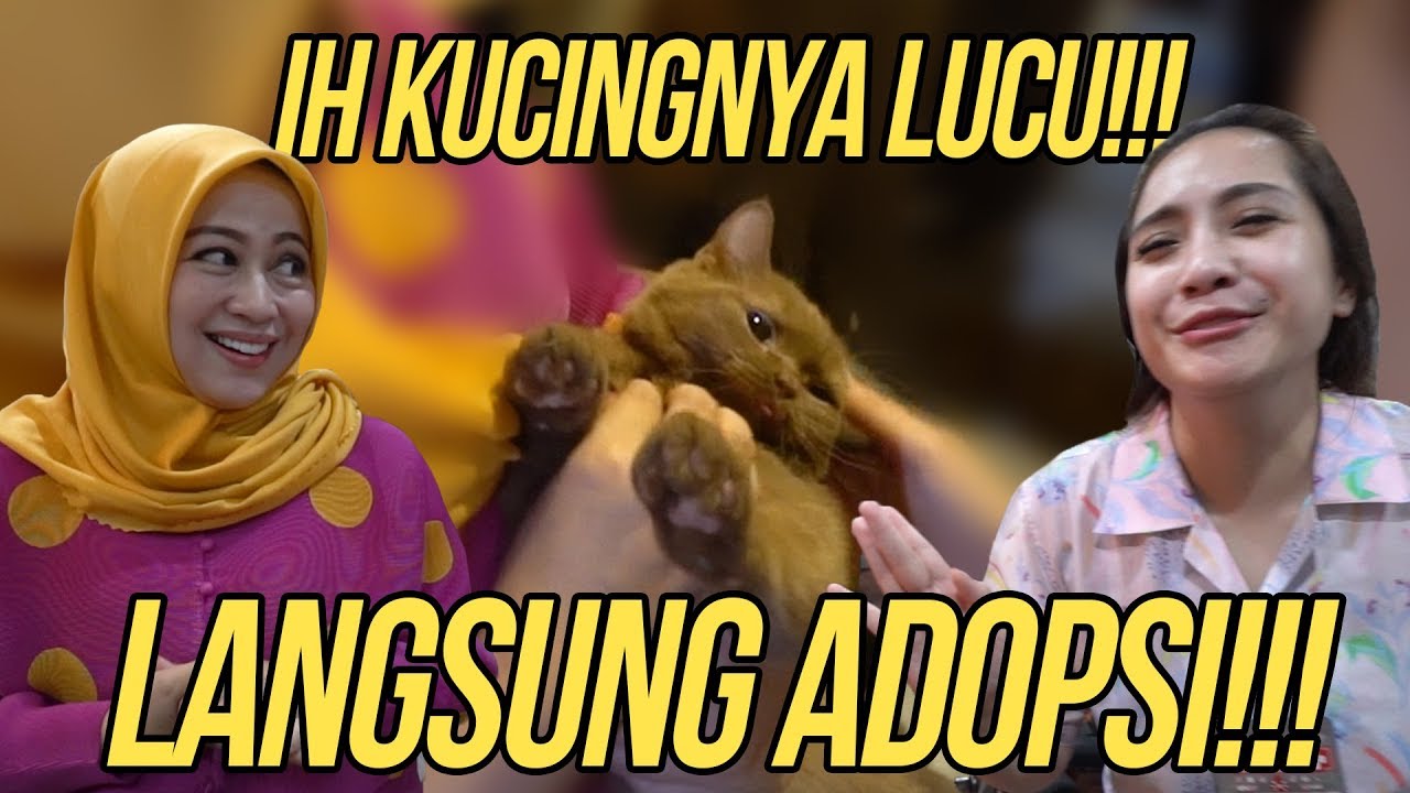 KELAKUAN SUAMI-ISTRI SAMA!! SUKA??!! LANGSUNG BAWA PULANG!!