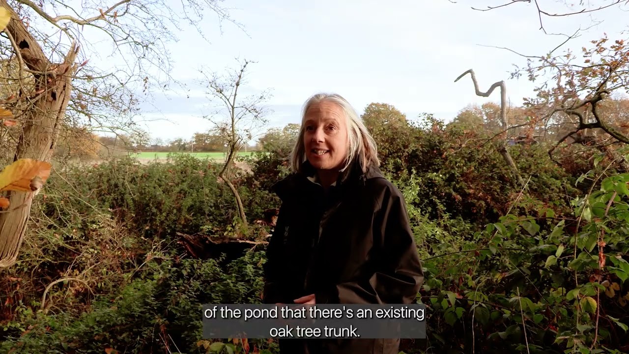 Severn Valley Water Management Scheme Attingham Demonstrator - Pond Restoration