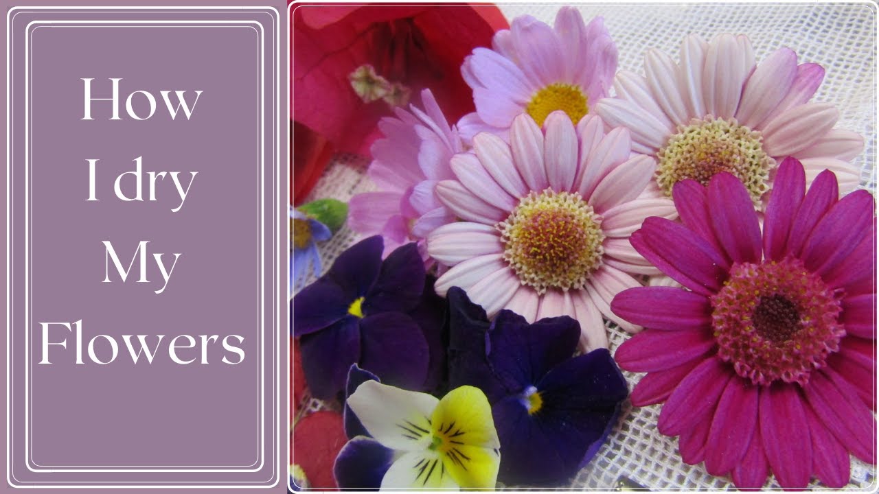 How I Dry My Flowers