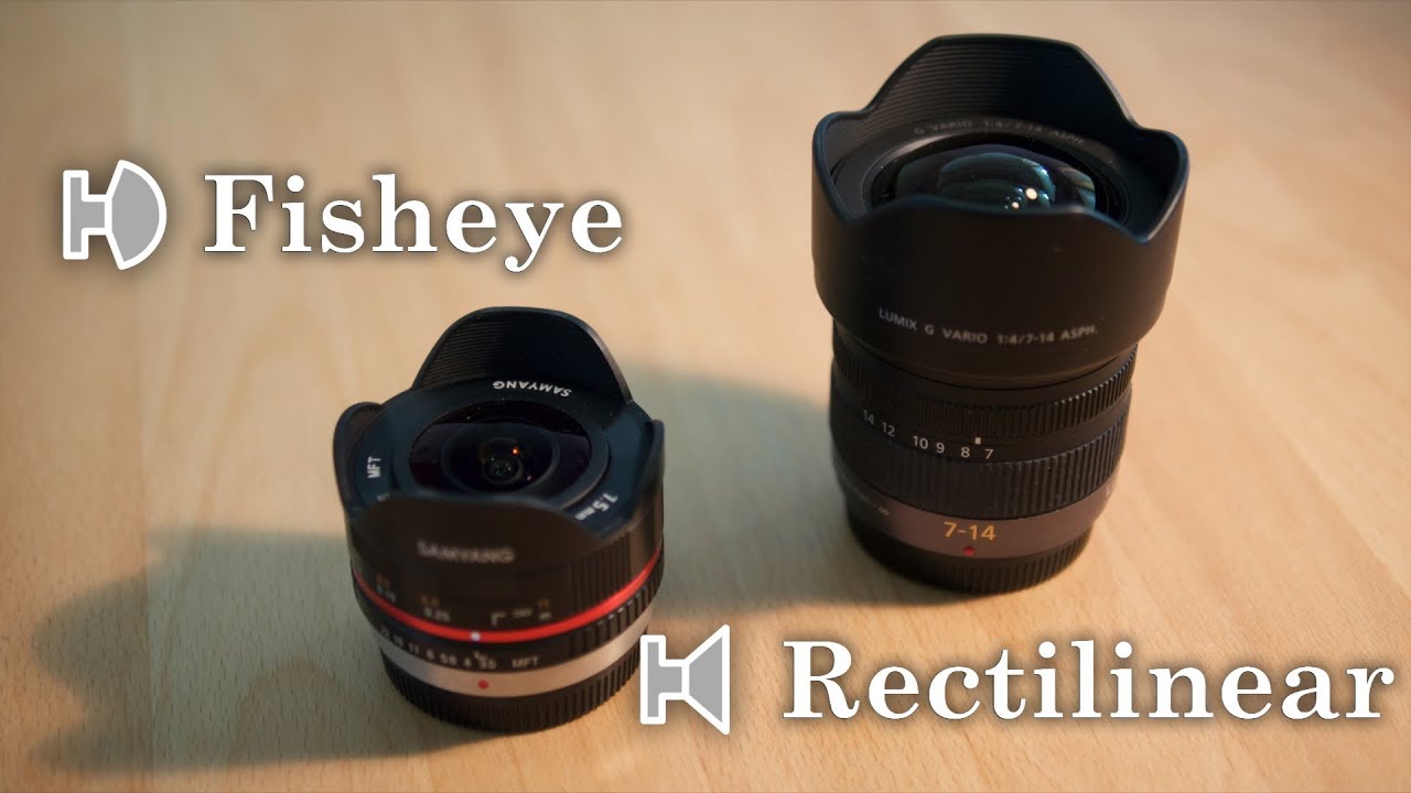 Fisheye vs. Rectilinear Lens