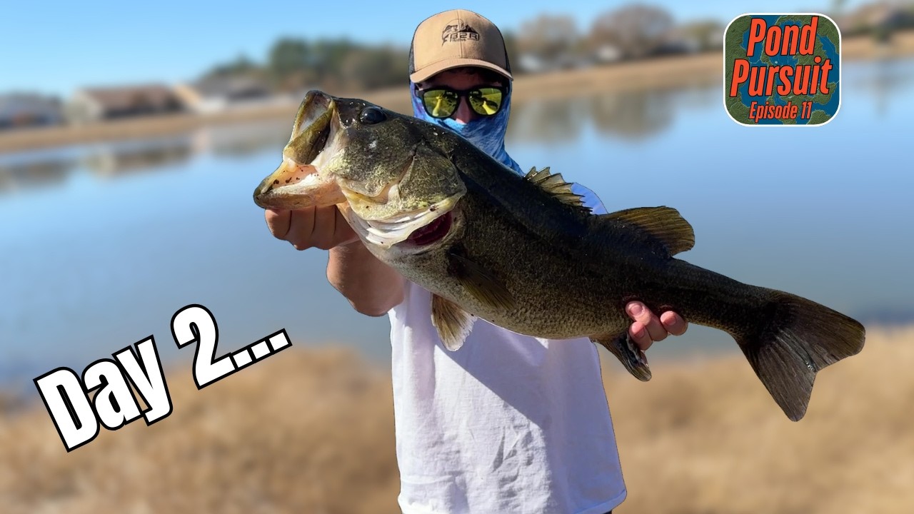 Fishing the Same Pond Two Days in a Row Paid Off BIG (Pond Pursuit Ep.11)