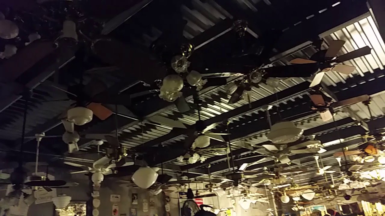 Fanimation Fan Museum Updated Fan Demonstrations SPINDOWN Part 1
