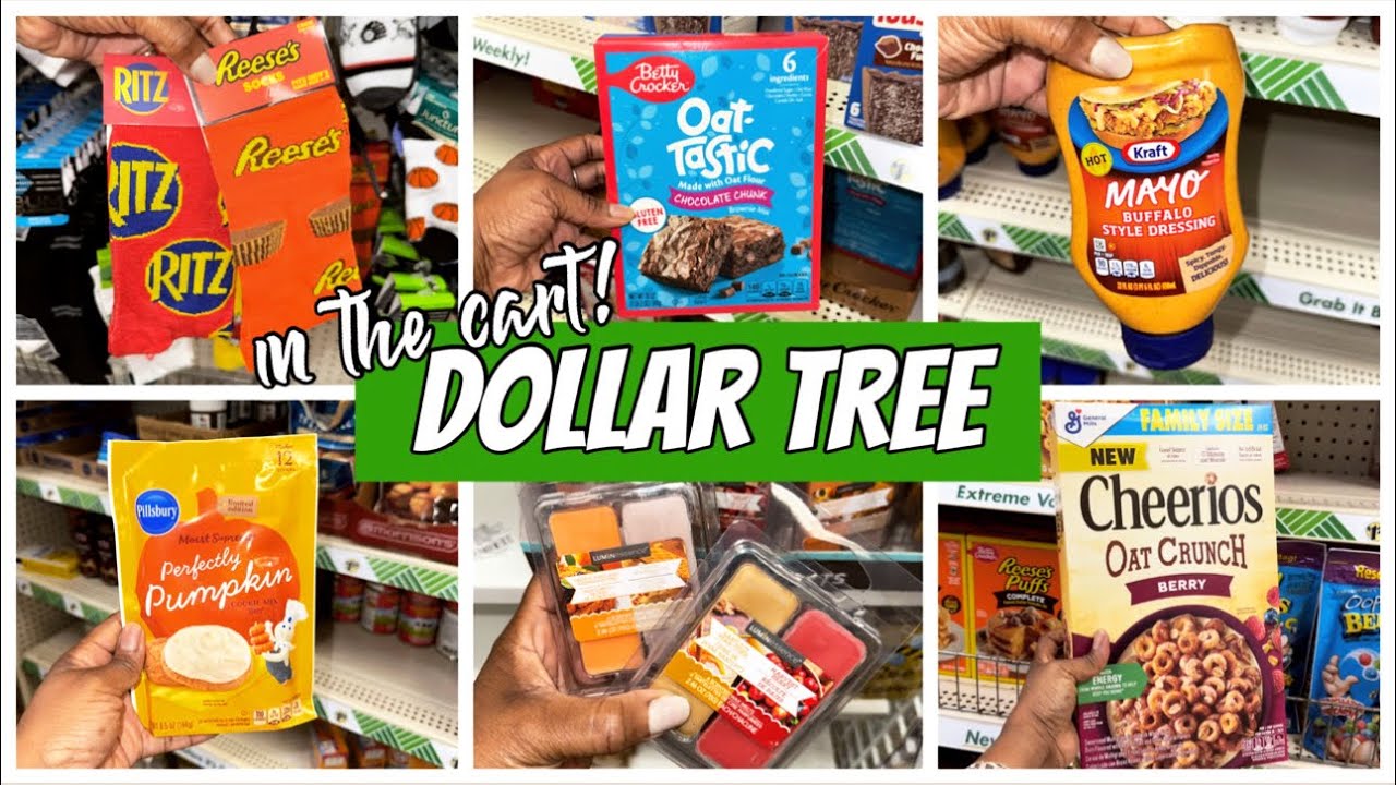 DOLLAR TREE | WHATS NEW AT DOLLAR TREE | DOLLAR TREE COME WITH ME