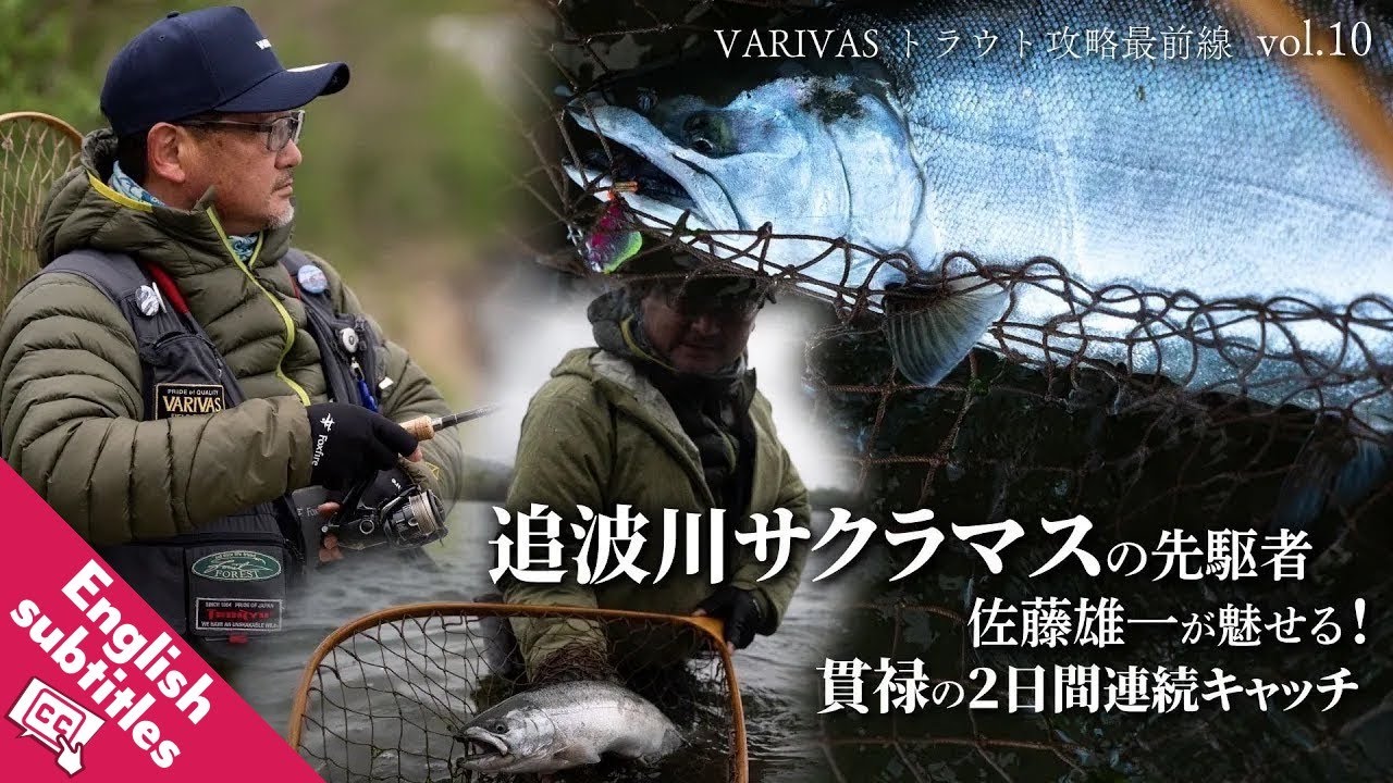 追波川サクラマスの先駆者・佐藤雄一が魅せる！貫禄の2日間連続キャッチ【VARIVASトラウト攻略最前線 vol.10】