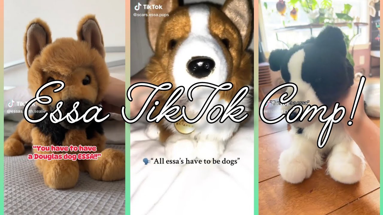 Essa TikTok Comp | none are mine | credits to original owners