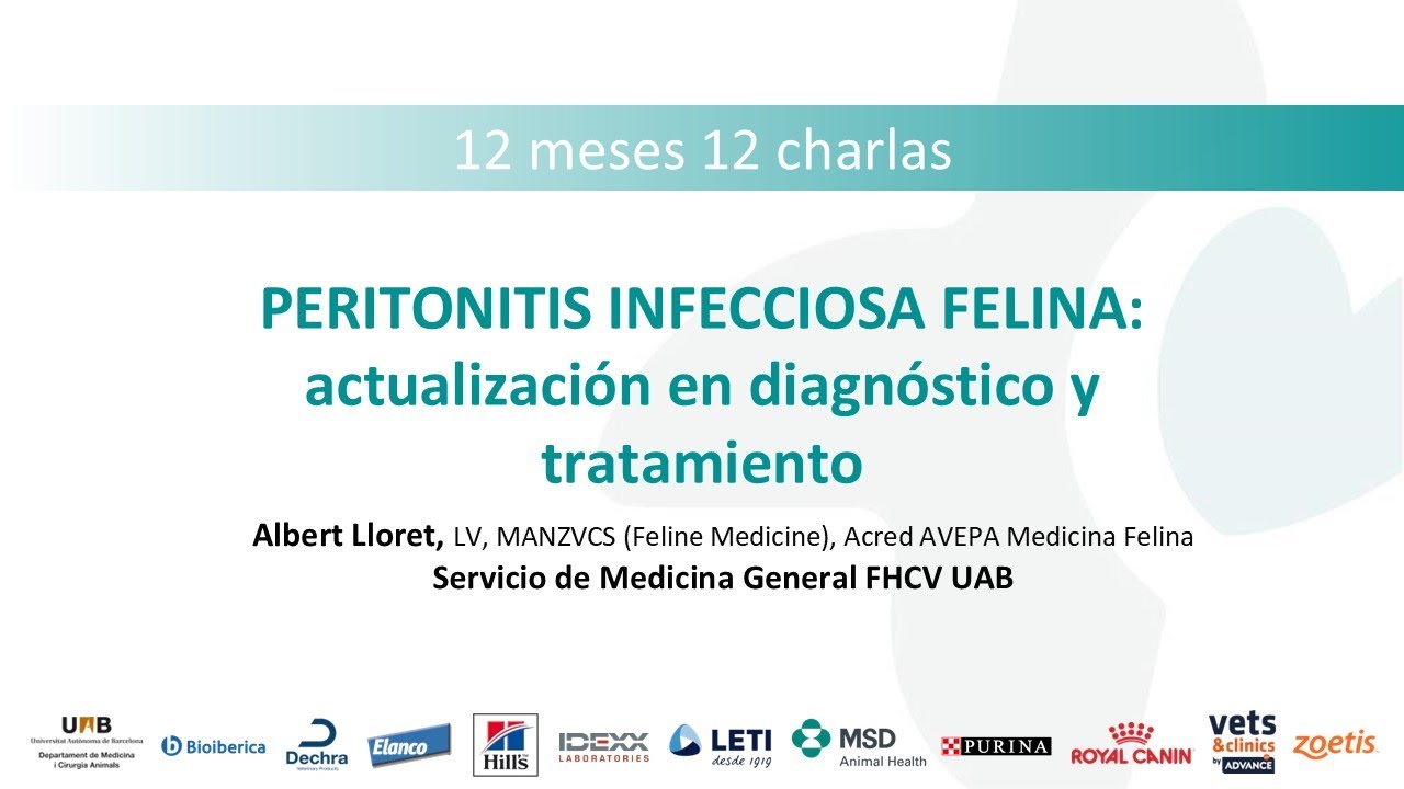 12 meses 12 charlas: Actualización en diagnóstico y tratamiento de PIF (Albert Lloret)