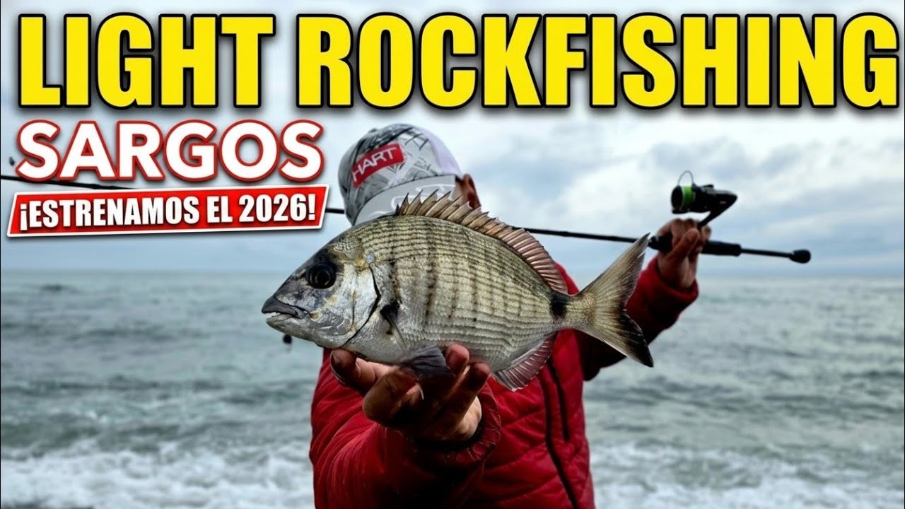 LIGHT ROCKFISHING 🎯 Primeros Sargos de 2026 