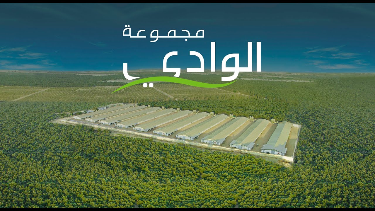 مجموعة شركات الوادي  ٢٠٢٢
