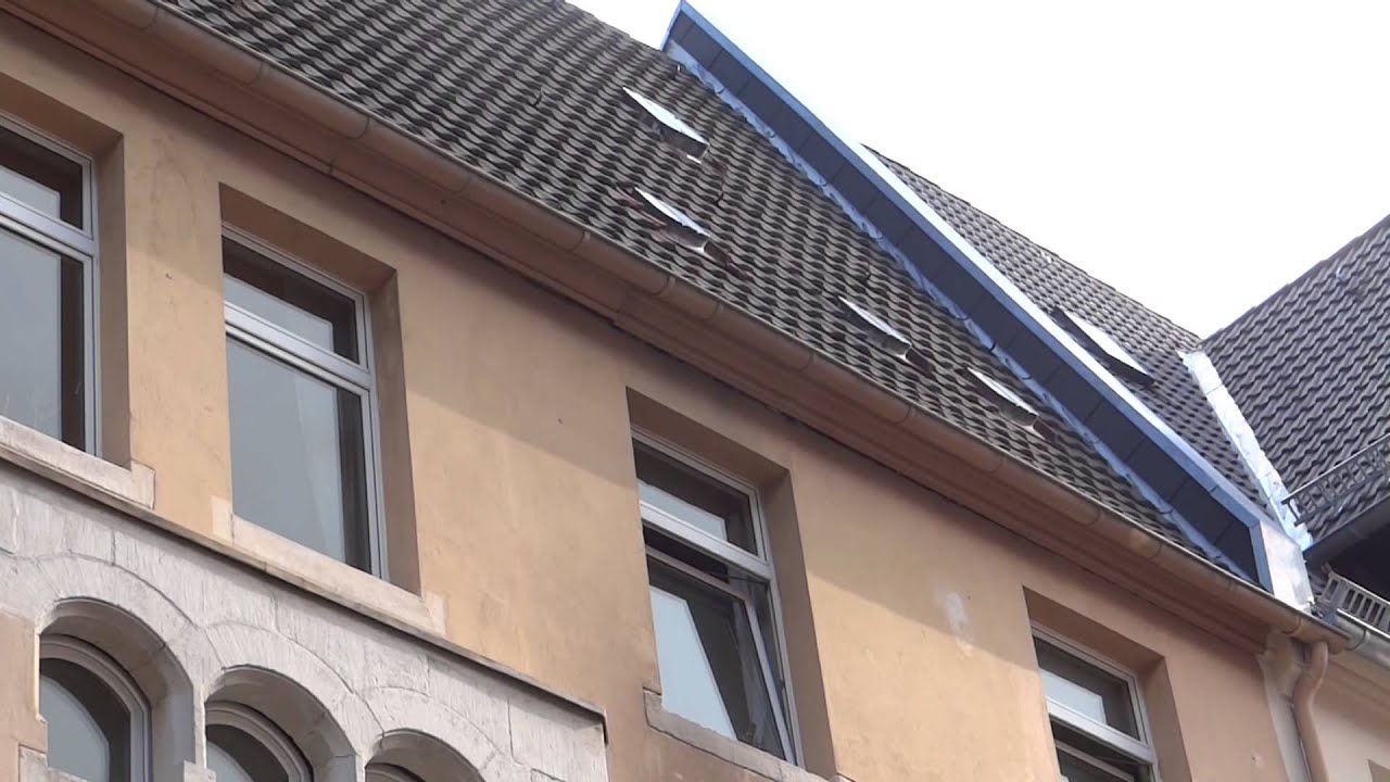 Mauersegler - Sch&ouml;ner Wohnen unter der Traufe