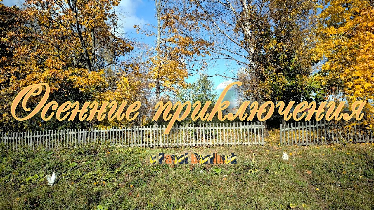Осенние приключения🌲🚲