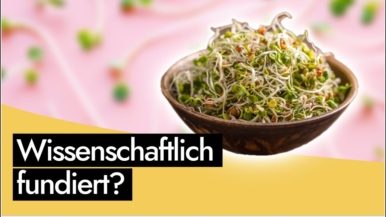 Sprossen und Keimlinge: Besser als Getreide? Alternative zu Nudeln, Brot & Co?