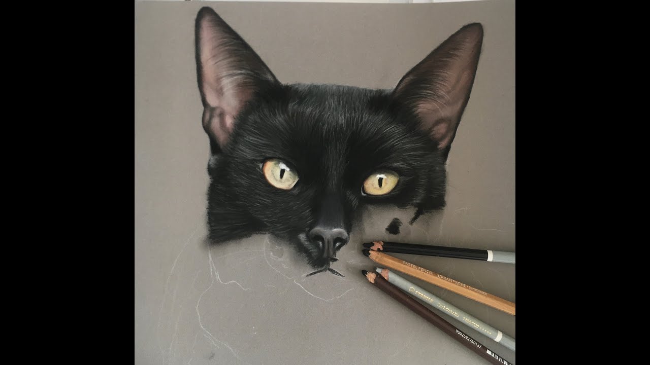 Comment Réaliser un chat noir au pastel sec .Speed drawing