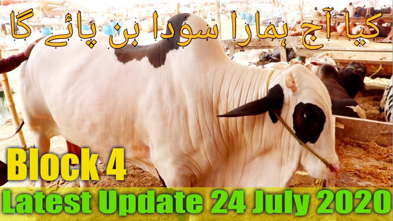 Kiya aaj Hamara Soda Ho Paye ga Sohrab Goth Maweshi Mandi 24 July 2020 block 4
