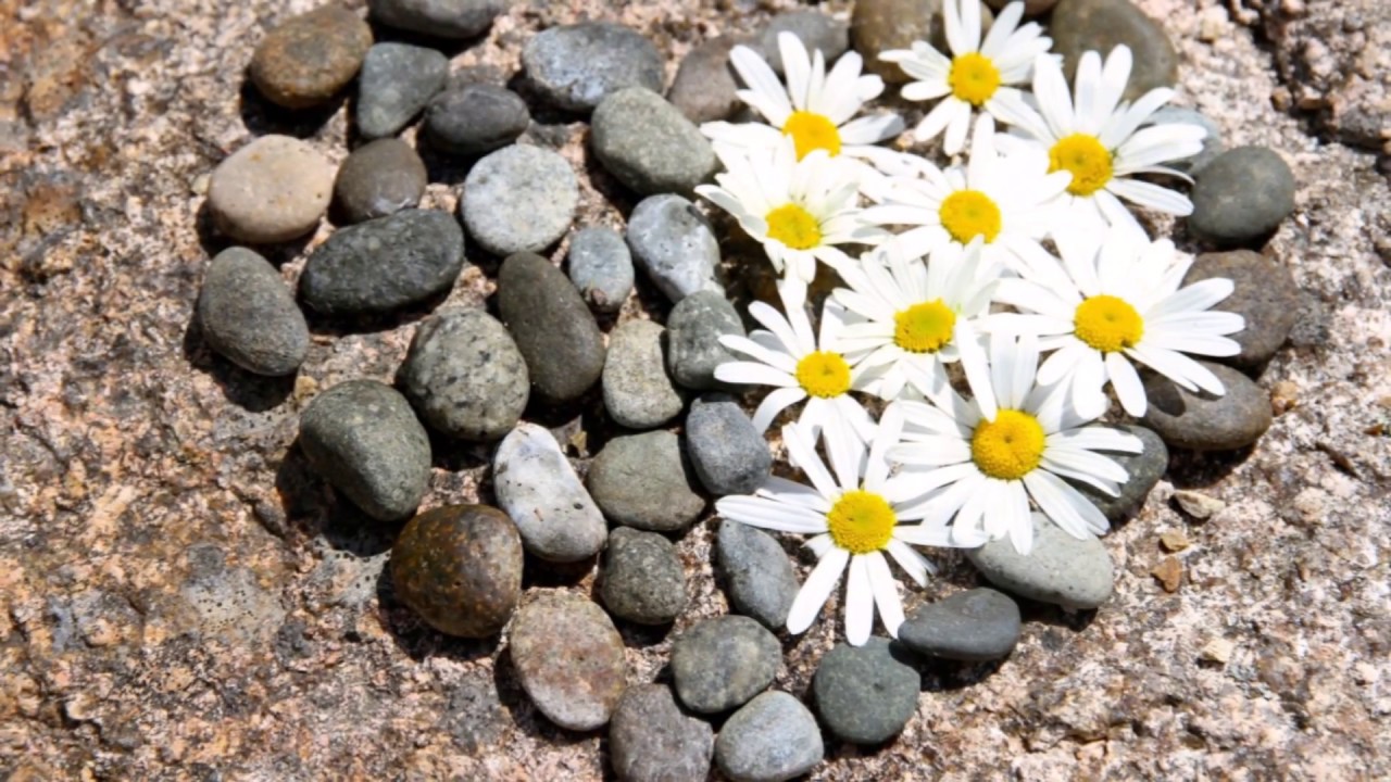 Italian Ballroom - Malafemmena