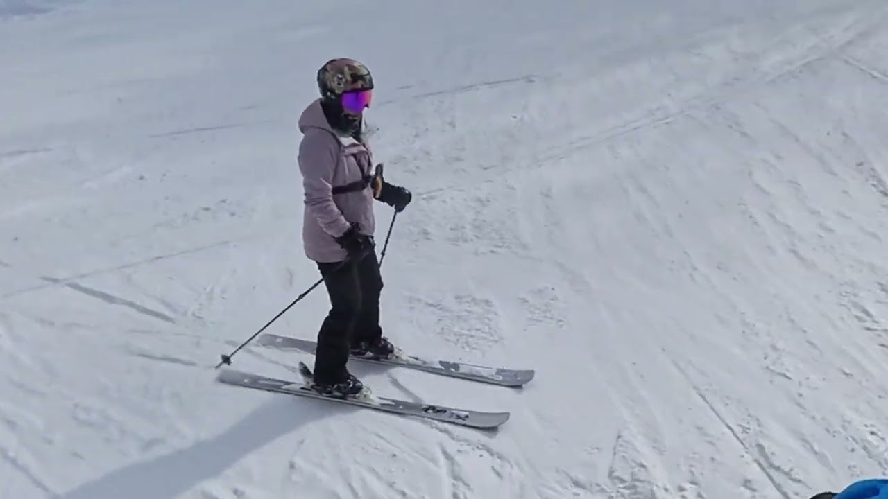 Shiga Kogen Tree Run