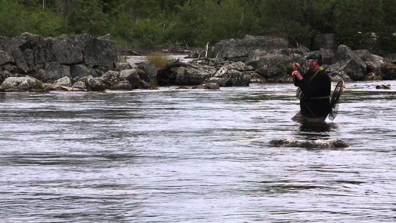 Gimån Stavre Juli 2014