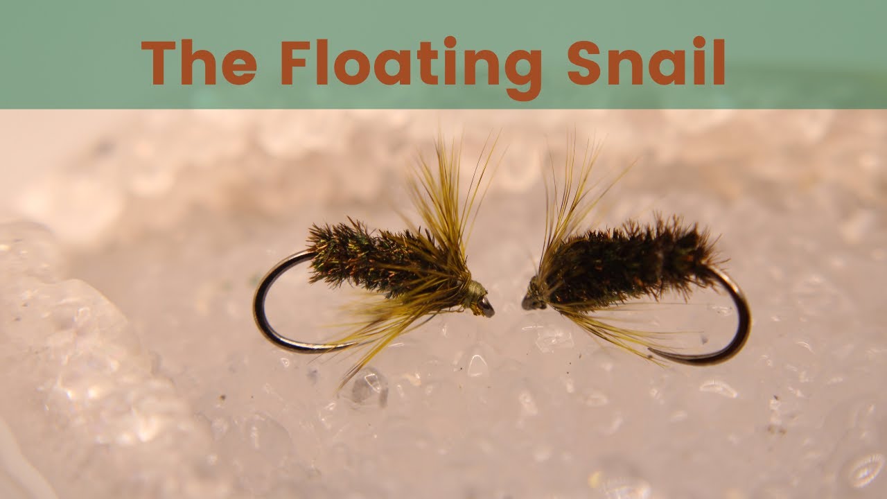 The Floating Snail