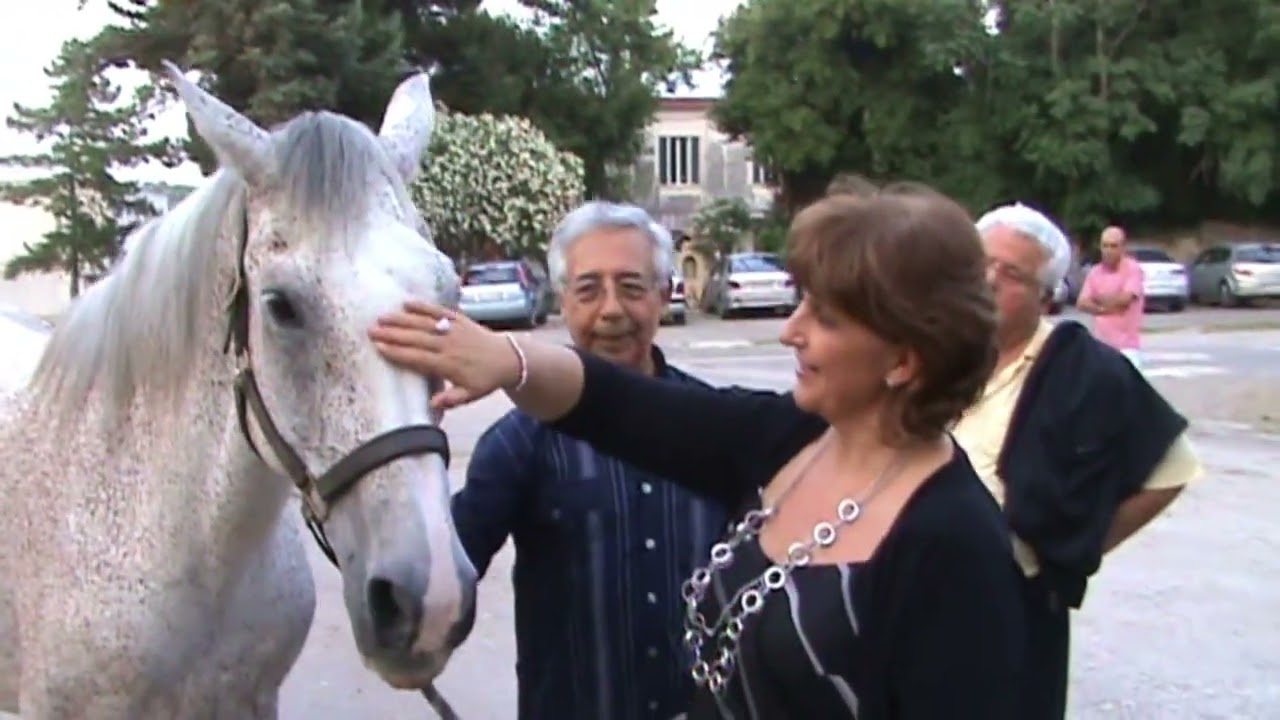 Il cavallo persano è tornato a Persano