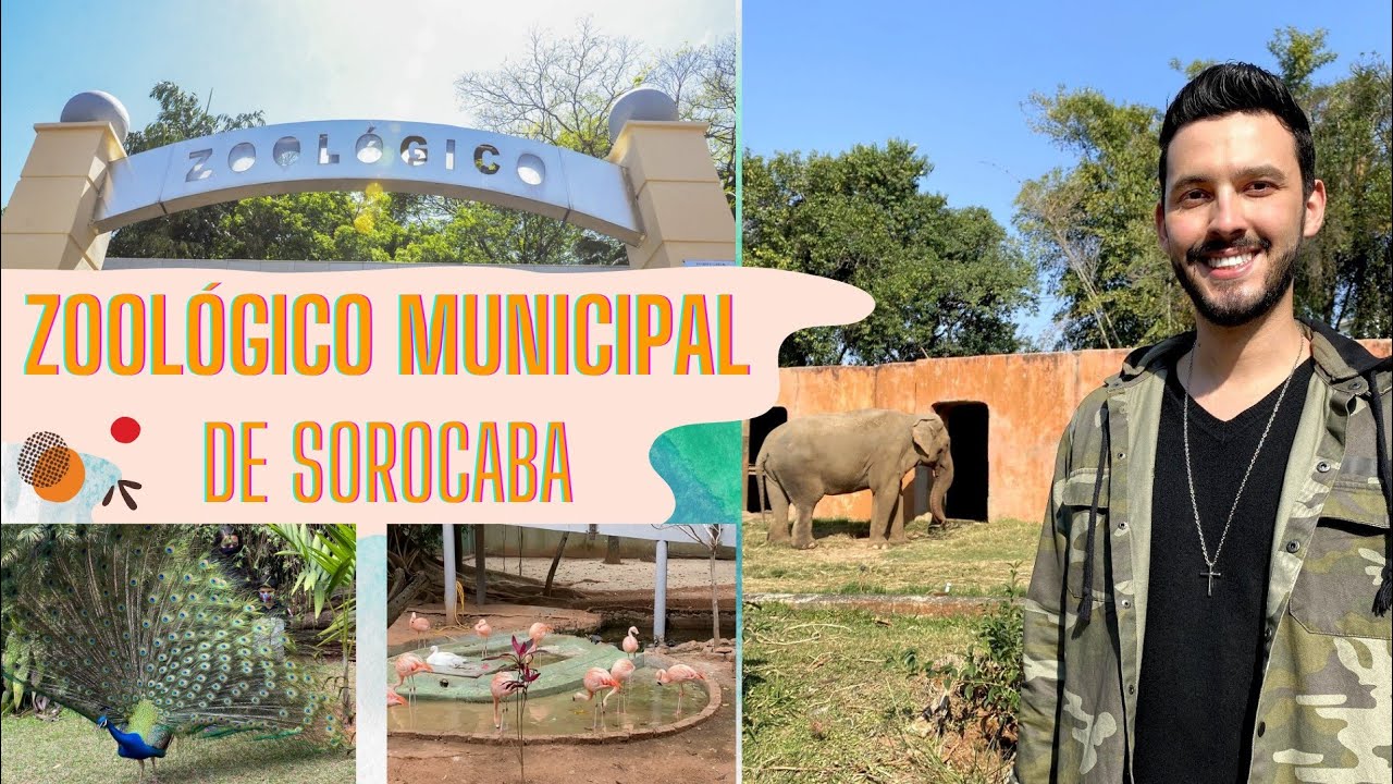 PARQUE ZOOLÓGICO MUNICIPAL QUINZINHO DE BARROS em SOROCABA-SP (ELEFANTE, HIPOPÓTAMO, TIGRE, PUMA...)