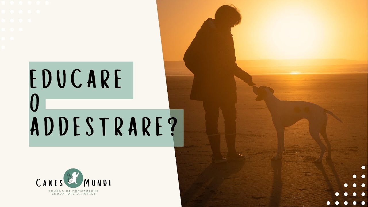 EDUCARE O ADDESTRARE? [EDUCATORE O ADDESTRATORE?]