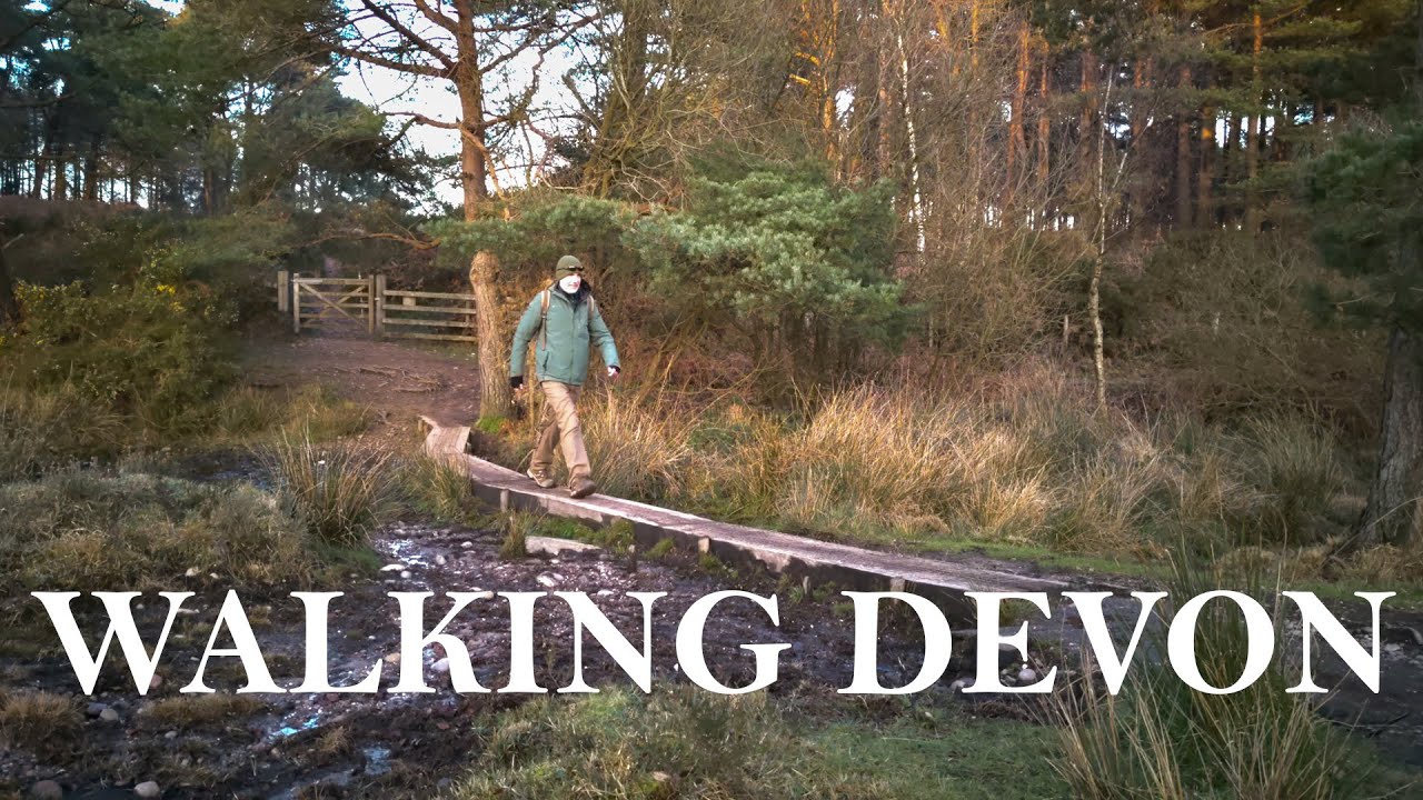 Devon Walks: Newton Poppleford, Aylesbeare and Woodbury Common.