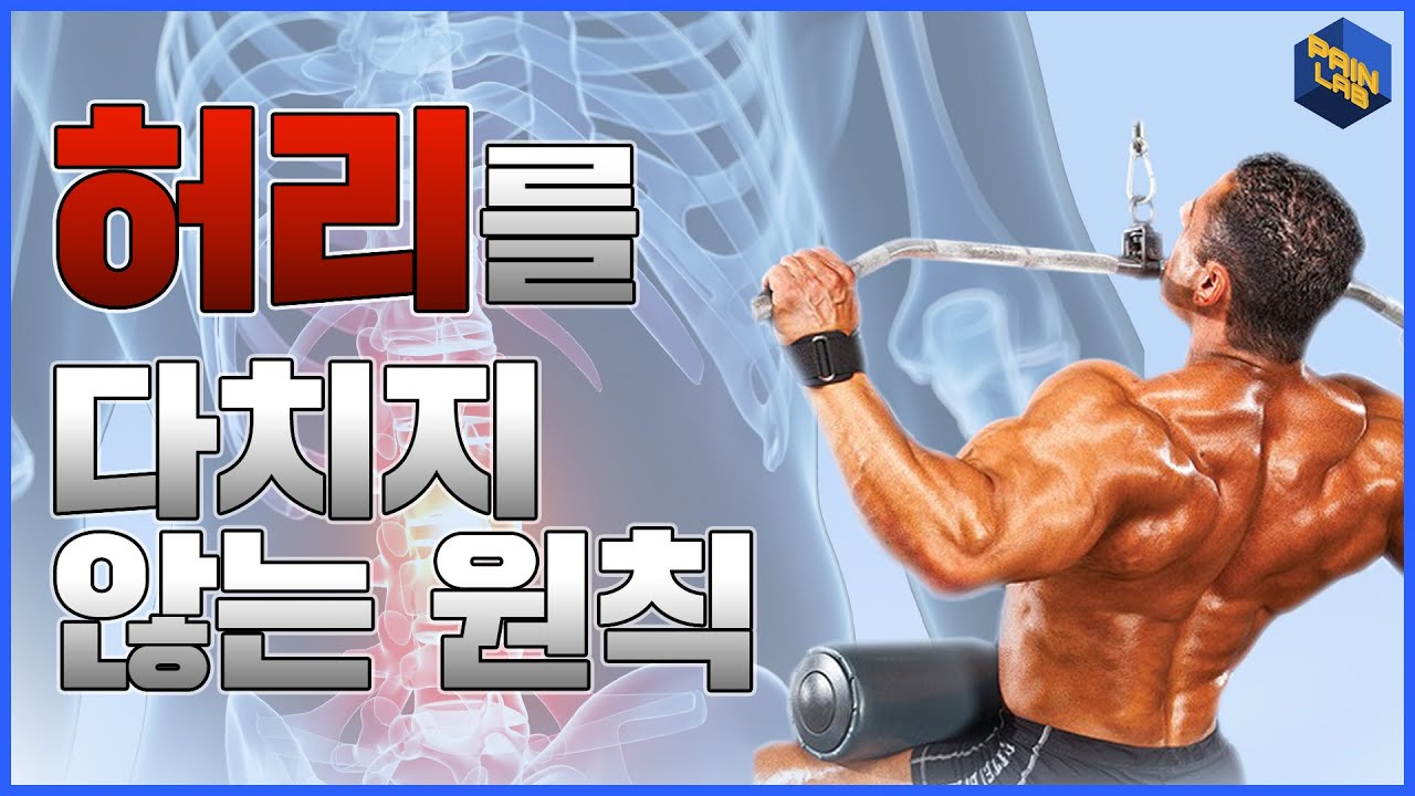 허리통증, 요통 있을 때 헬스 웨이트 운동 | 헬린이들을 위해 준비한 올바른 운동법! | 허리디스크