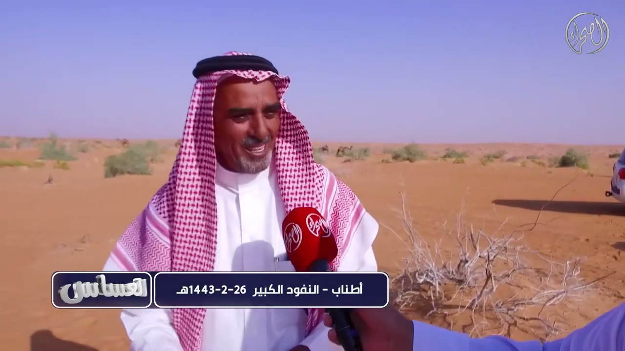 لقاء قناة الصحراء مع مالك الابل والشاعر ثامرالثامر