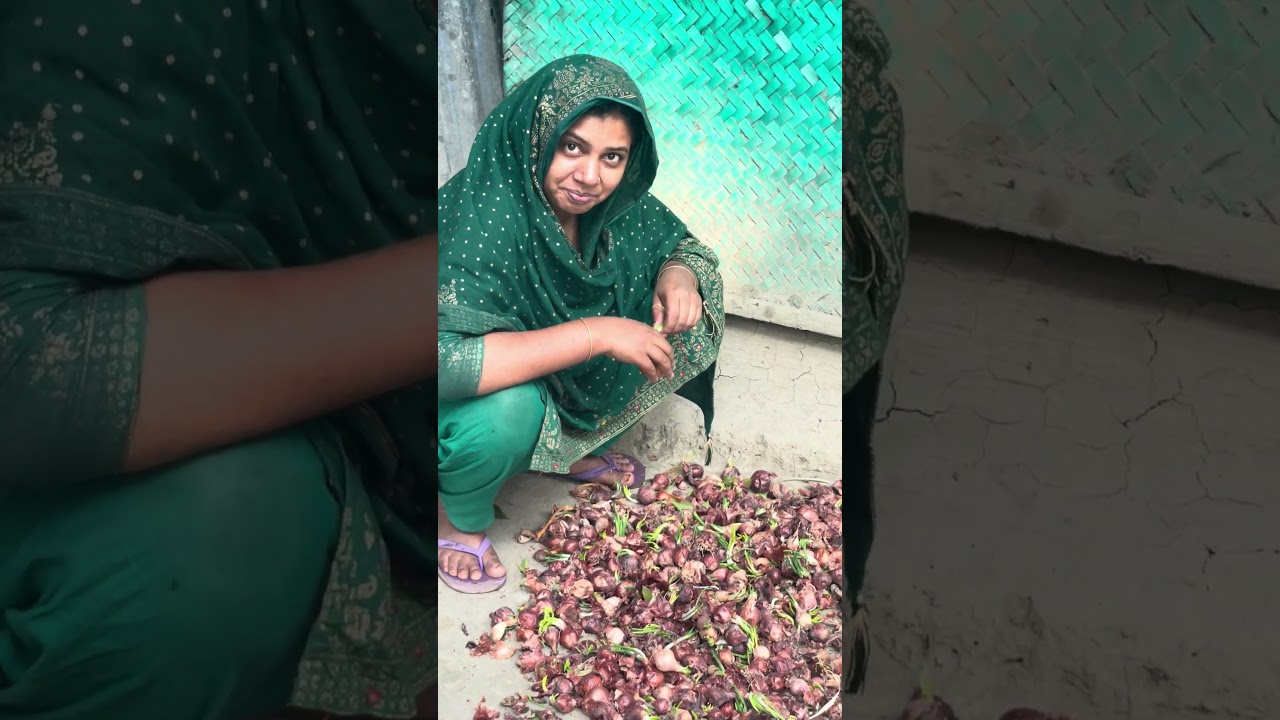 অনেক দামের পেঁয়াজ গুলা নষ্ট করে ফেলছে