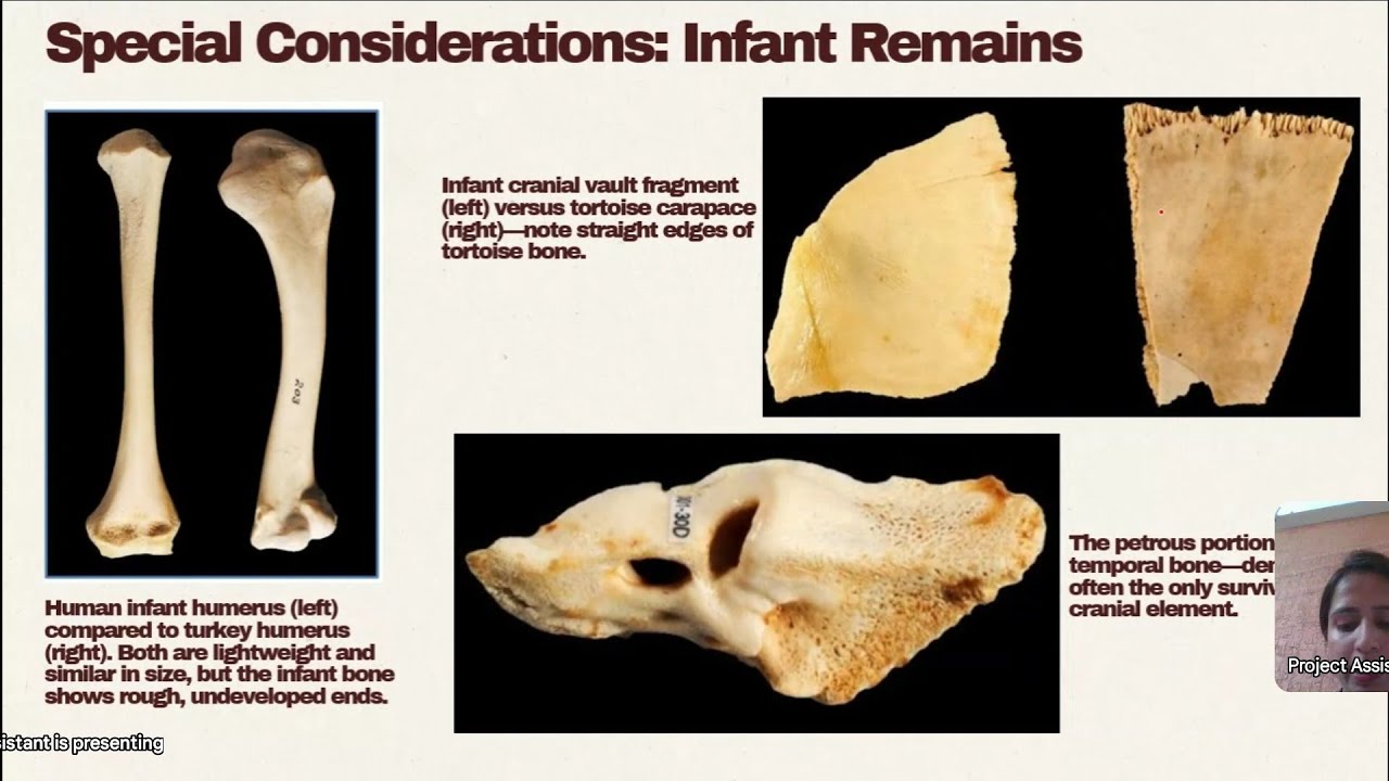 Species Identification | Forensic Science | Genetics #genetics #dna