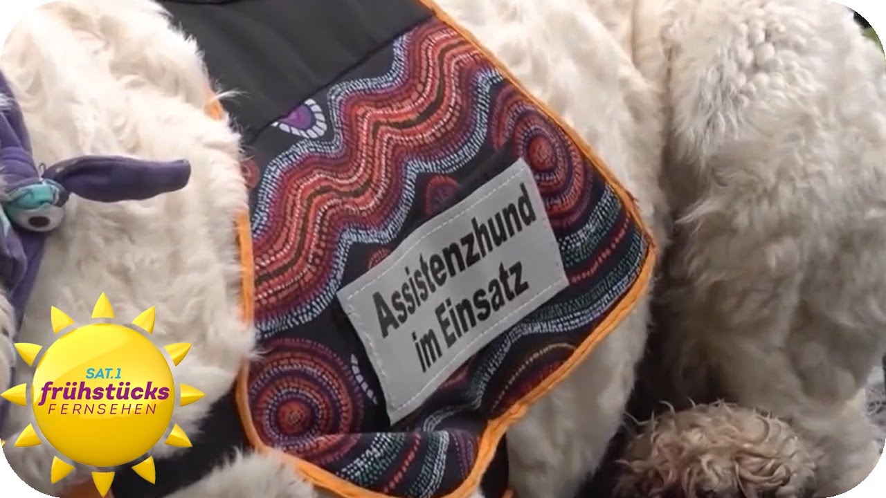 Lebenshelfer Hund - eine unverzichtbare Unterstützung im Alltag | SAT.1 Frühstücksfernsehen