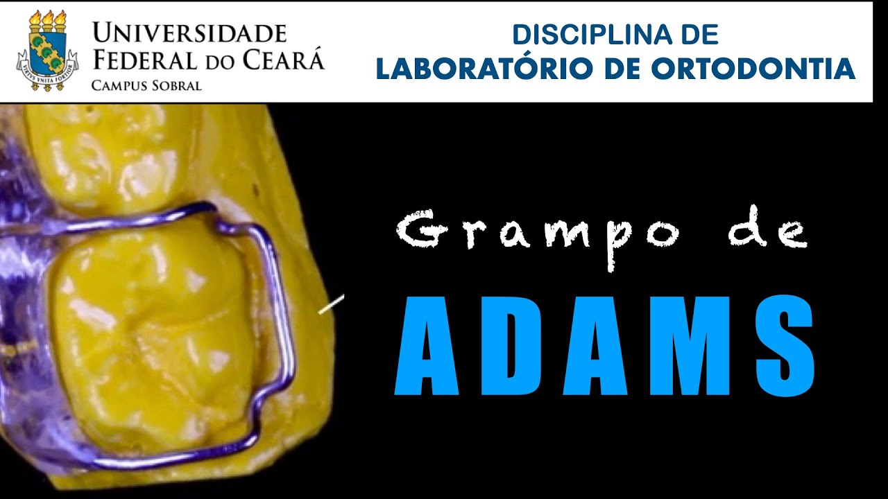GRAMPO DE ADAMS