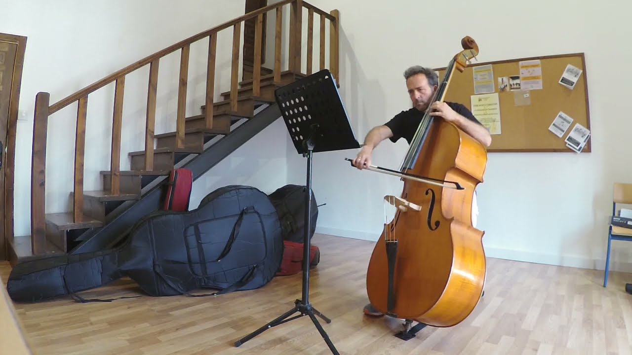 Concierto en Re mayor de Pichl. Primer movimiento contrabajo solo