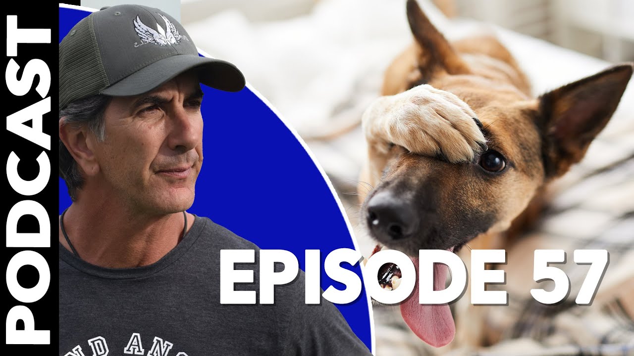 Episode 57   Why Don't People Train Their Dogs