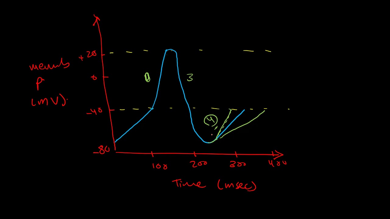 EDAIC essentials 2