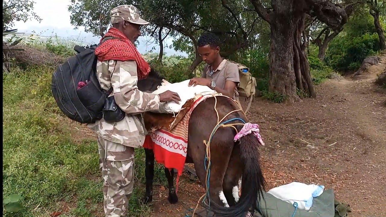 ድፋዕ ሰበራ ደሴ ሰራዊትና  ተወርዊሩ ናብ ፀላኢ እንትኣቱ ዘርኢ ቪድዮ/ Tigray defense Force