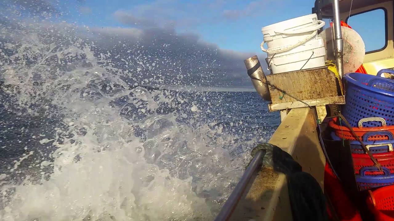 Lobster fishing in the moray firth