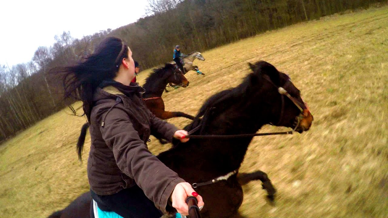 Spring horse galloping + fail