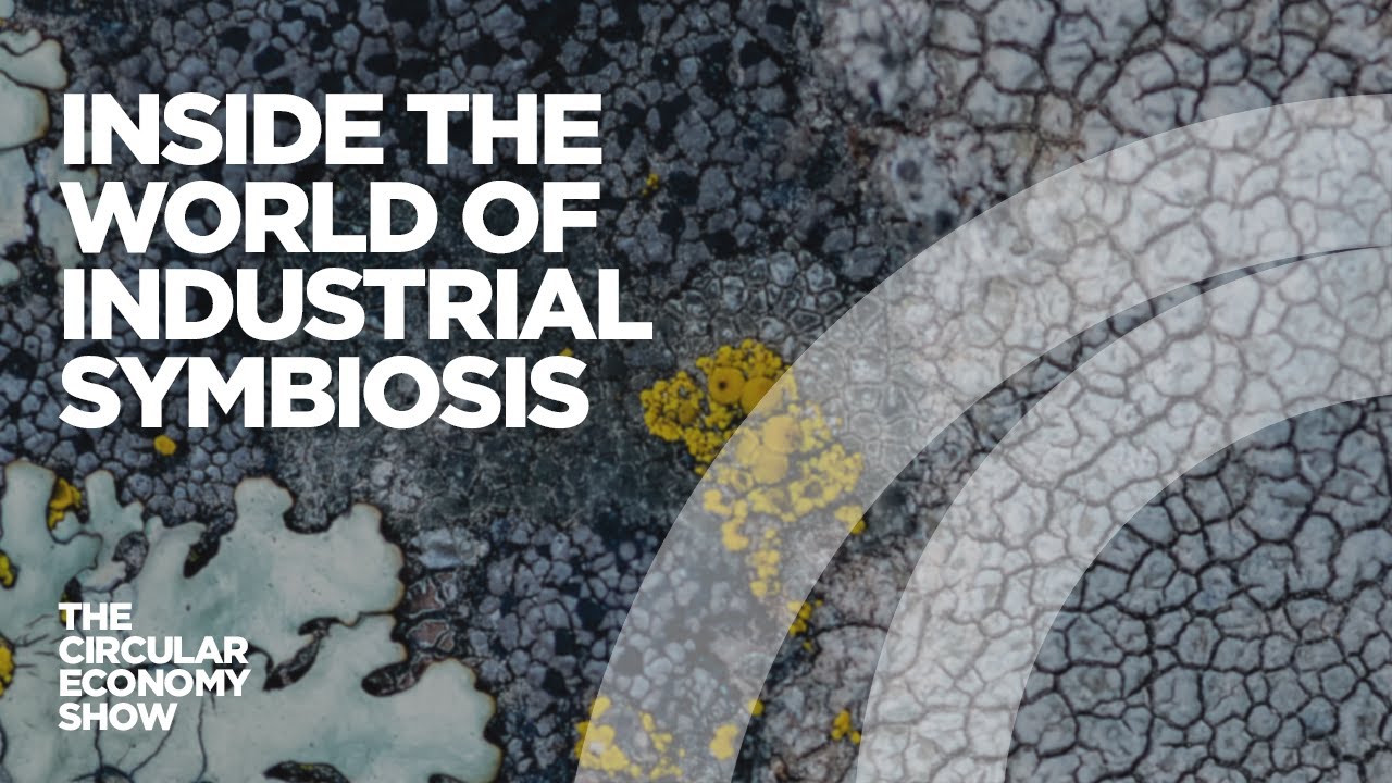 Inside the world of industrial symbiosis | The origins of the circular economy