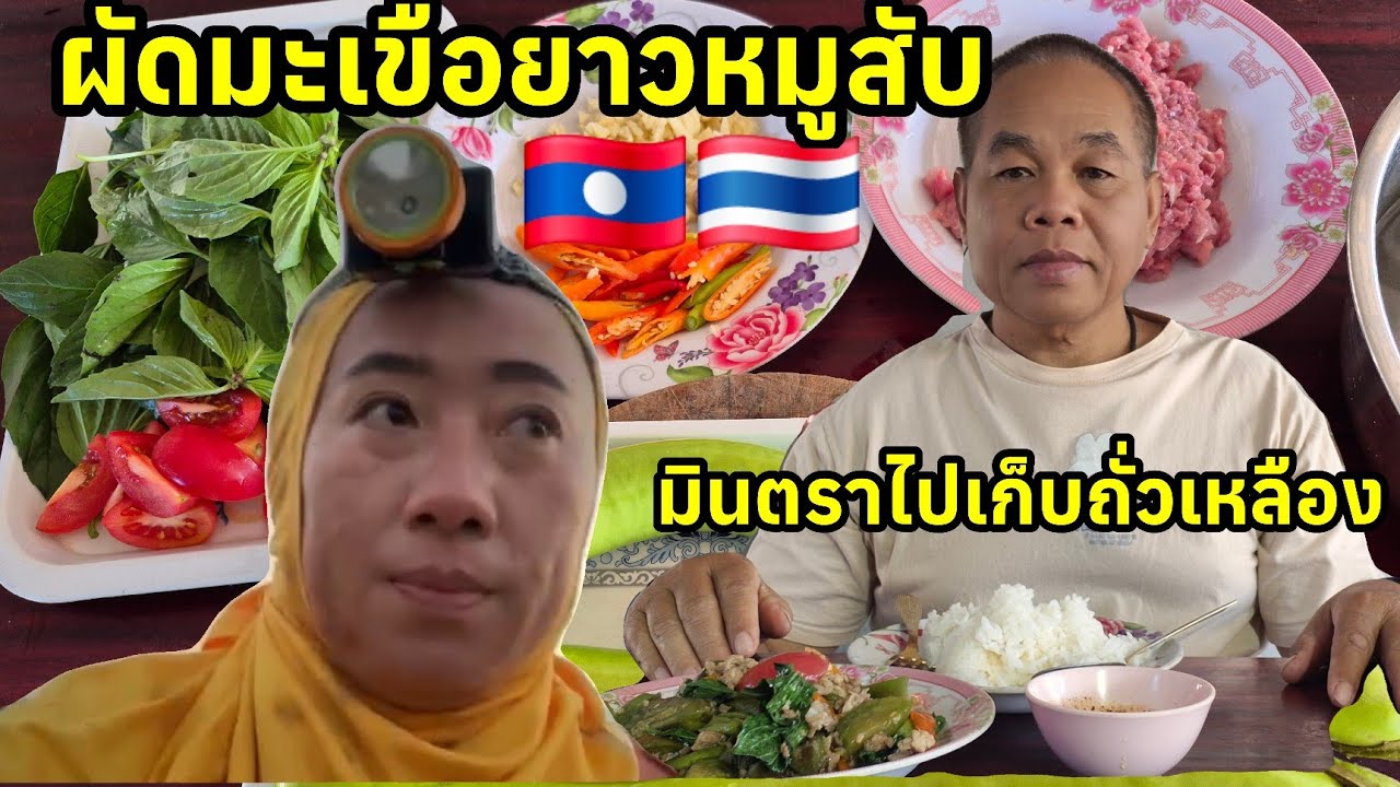 ผัดมะเขือยาวหมูสับ มินตราไปเก็บถั่วเหลือง ออกบ้านตั้งแต่ตีสาม ชีวิตต้องสู้🇱🇦🇹🇭#สาวลาว #มินตราสาวลาว