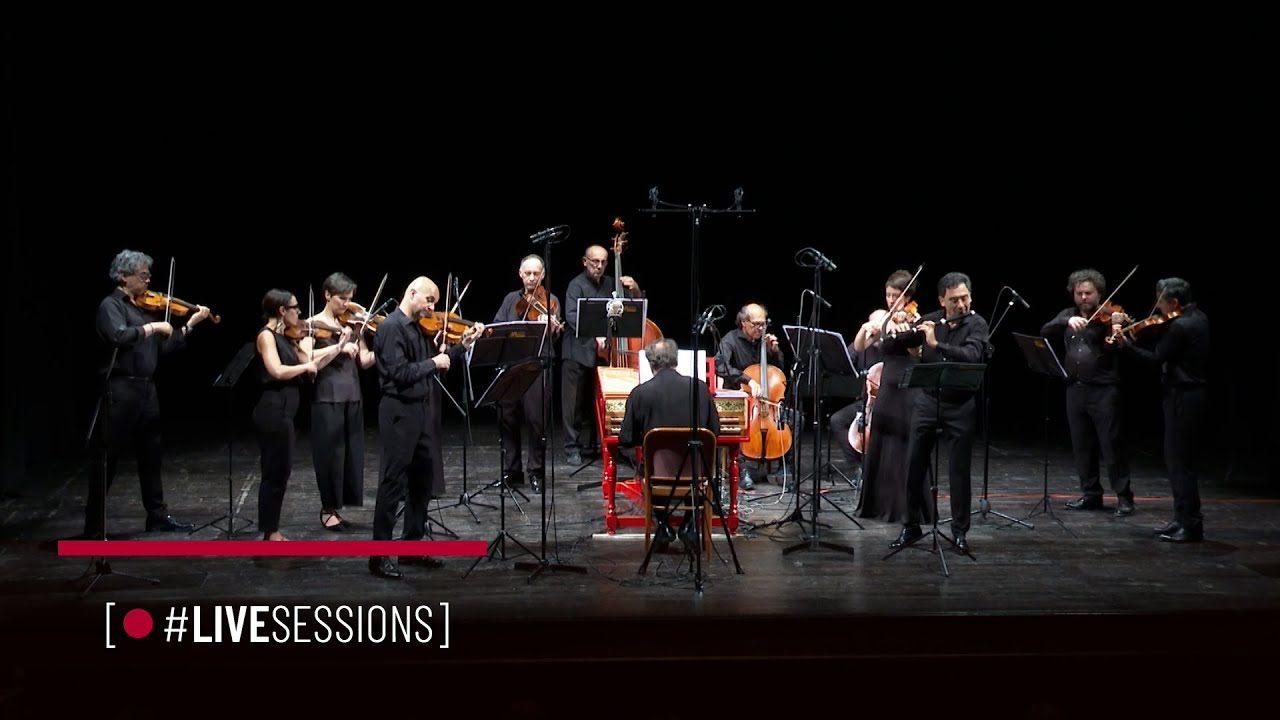 G.P. Telemann - Concerto for Flute, Violin and Strings in E minor TWv 52:e3 / Live Sessions